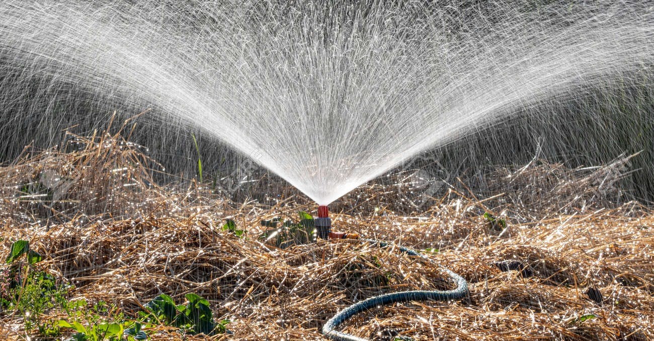 Diagrama del sistema de riego automático