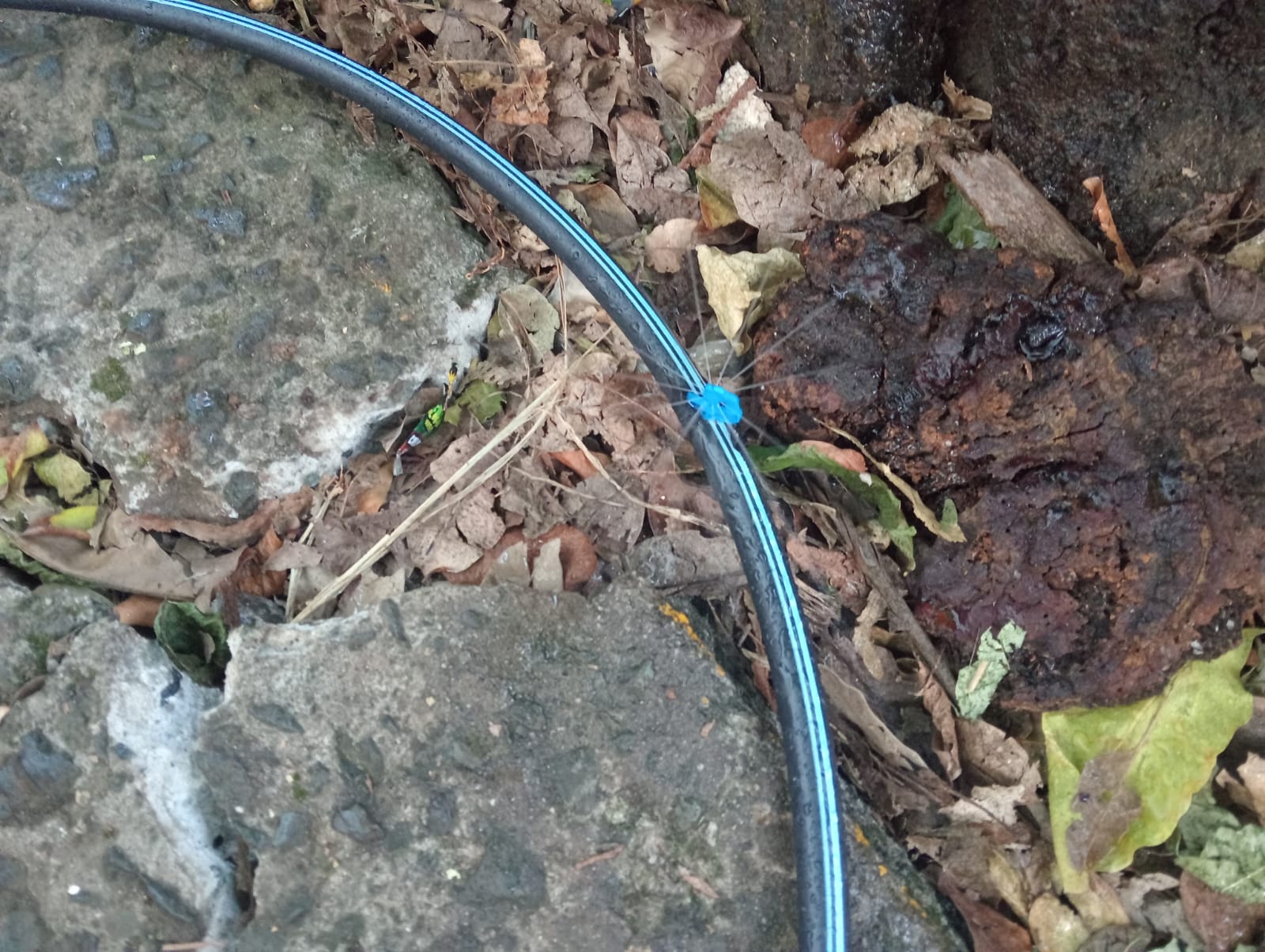 Diagrama de funcionamiento del sistema